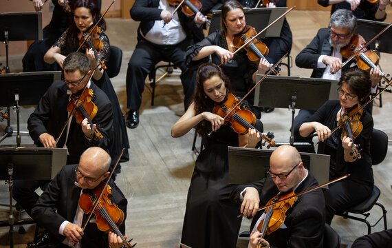 Streicher der Mährischen Philharmonie Olmütz | © Simon Kadula