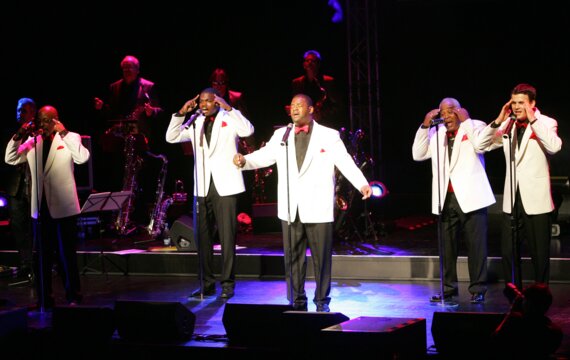 Sweet Soul Music Company: Konzerte in der Schweiz