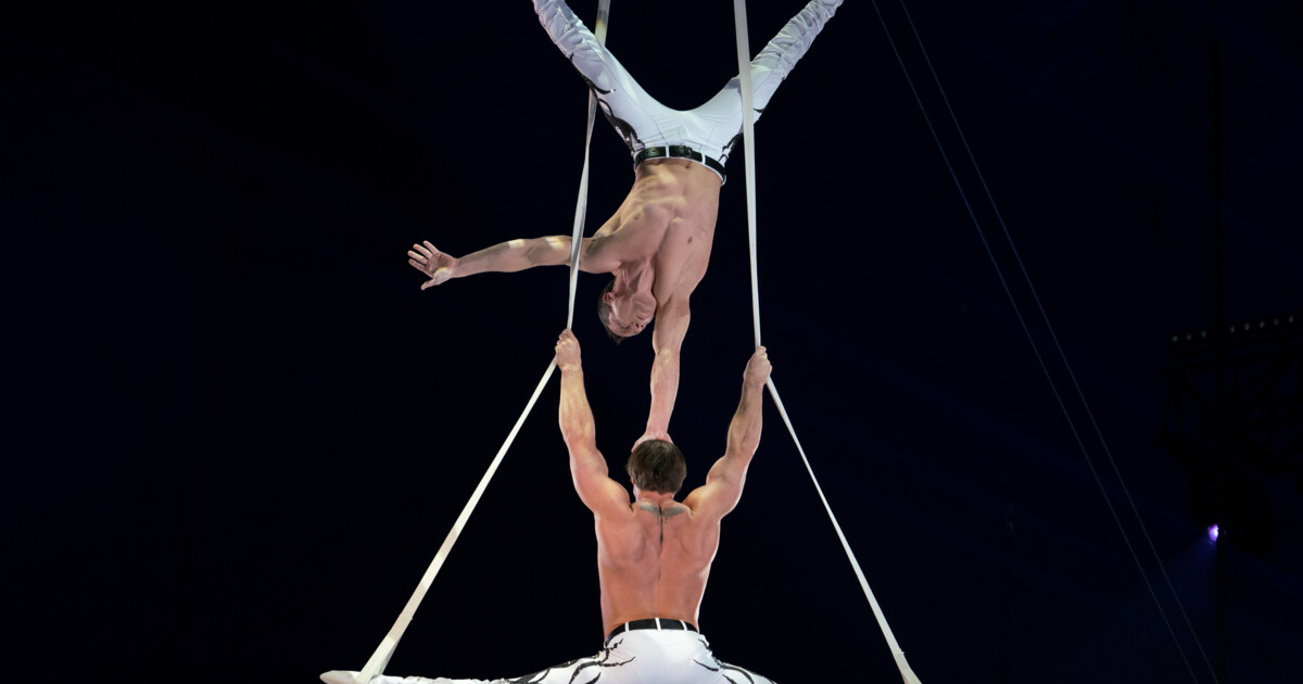 Duo Just2men Aerial Straps